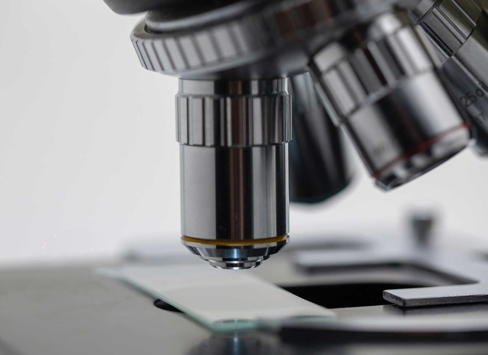 Foreign Matter Analysis